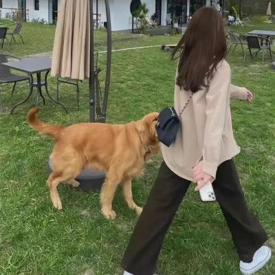 妯娌的三国时代